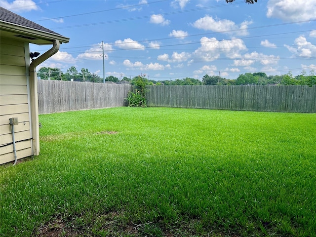 2503 Ironclad Dr, League City, TX 77573 - view of yard