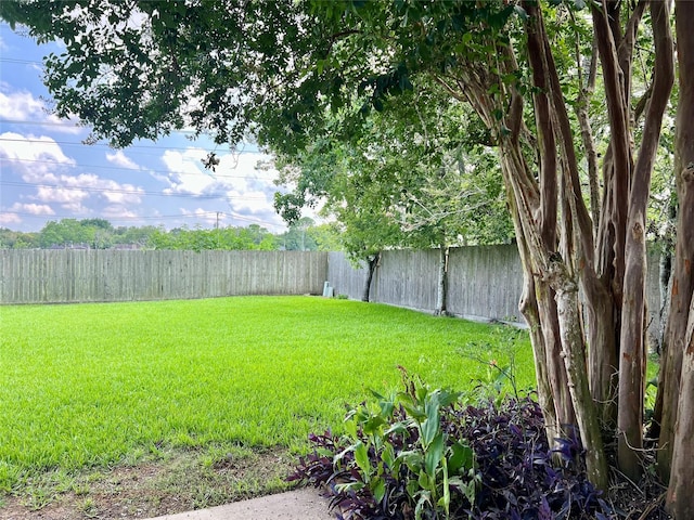 2503 Ironclad Dr, League City, TX 77573 - view of yard
