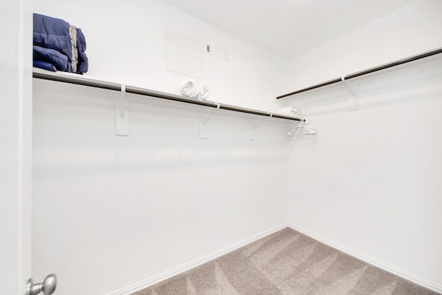 8034 Royal Palm Dr, Fulshear, TX 77441 - walk in closet featuring light carpet