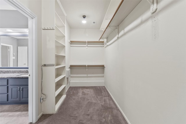 4206 Misty Timbers Way, Houston, TX 77345 - walk in closet featuring carpet and a sink