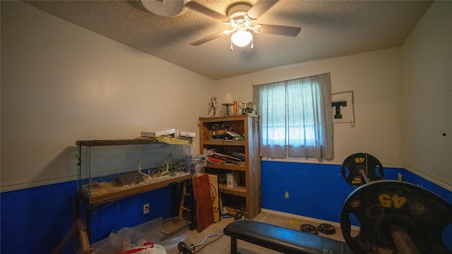 205 Mesa Dr, Gatesville, TX 76528 - office featuring a textured ceiling, a ceiling fan, and carpet flooring