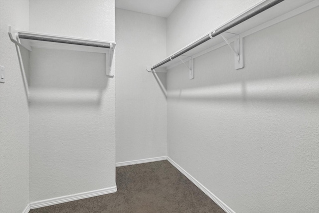 24742 Russet Bluff Trl, Houston, TX 77336 - walk in closet featuring dark carpet