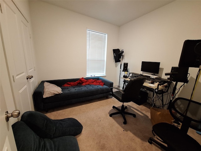21402 Rising Fawn Rd, Porter, TX 77365 - office area with carpet flooring