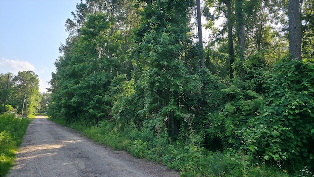 19112 Durham Ct, New Caney, TX 77357