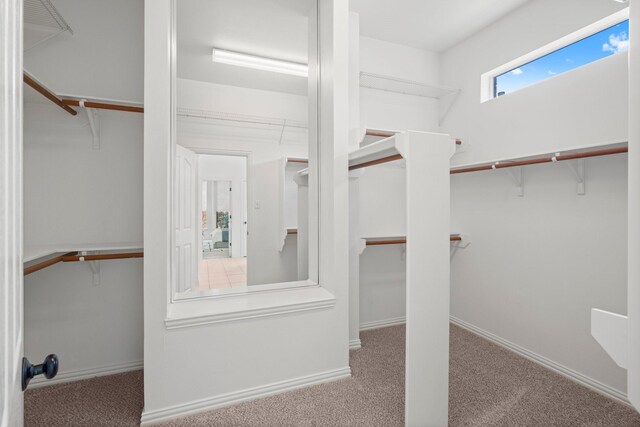 35 Dewdrift Pl, The Woodlands, TX 77382 - walk in closet featuring carpet