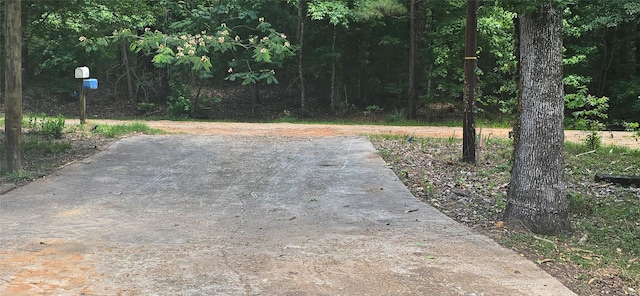 110 Hidden Cir, Coldspring, TX 77331 - view of road