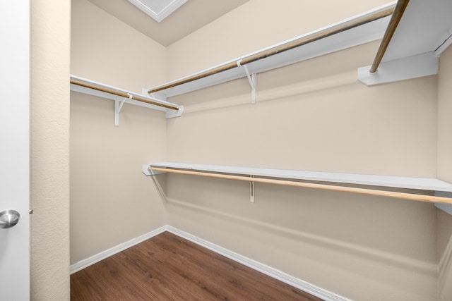 25426 Saddlebrook Champion Way, Tomball, TX 77375 - spacious closet featuring dark wood-type flooring