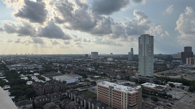 3505 Sage Rd Unit 2405, Houston, TX 77056 - view of city