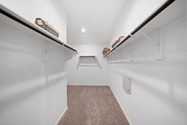 3313 Cold Swan Ct, Conroe, TX 77301 - walk in closet with carpet flooring