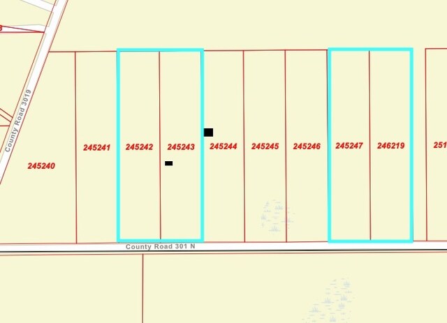 700 County Road 301 N, Dayton, TX 77535 - photo 10
