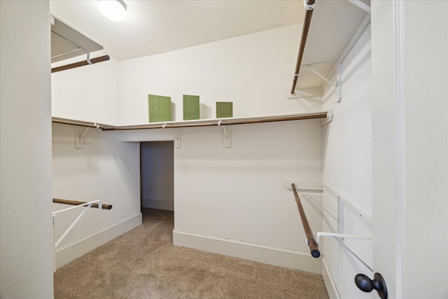 14603 Hampton Green Ln, Houston, TX 77044 - walk in closet with carpet flooring