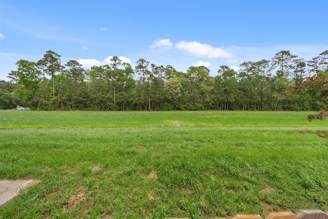 31318 Evergreen Park Ln, Conroe, TX 77385 - view of grassy yard with a forest view