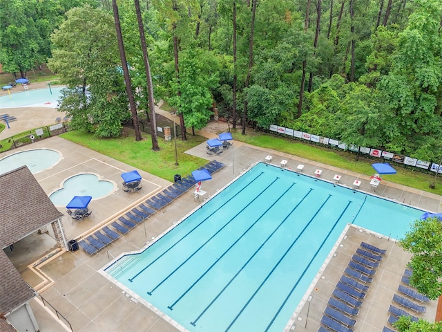 31318 Evergreen Park Ln, Conroe, TX 77385 - community pool with a patio area and a forest view
