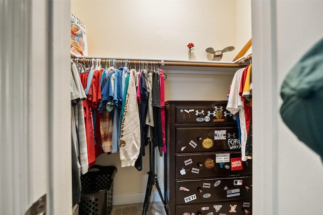 31318 Evergreen Park Ln, Conroe, TX 77385 - view of spacious closet