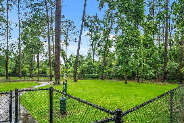 31318 Evergreen Park Ln, Conroe, TX 77385 - view of yard featuring a gate
