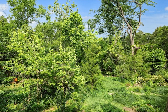19 Crestwood Dr Unit 4, Houston, TX 77007 - view of wooded area