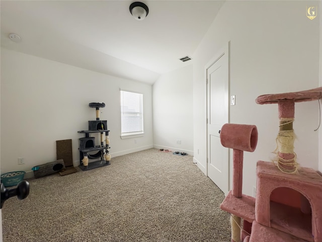 31334 Balsam Hawk Ln, Hockley, TX 77447 - misc room featuring a wood stove, carpet, lofted ceiling, and baseboards