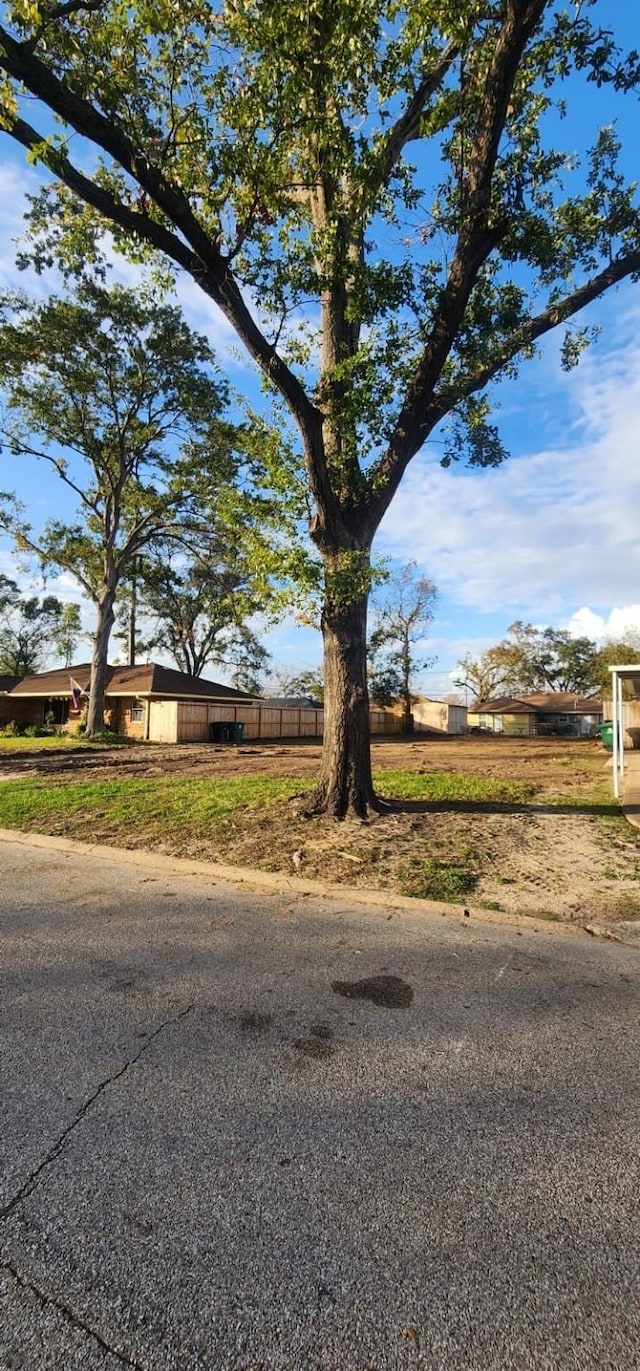 2214 Hewitt Dr, Houston, TX 77018 - view of yard