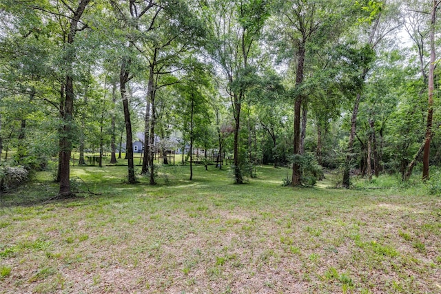 35 Disher Cir, Huffman, TX 77336 - view of green lawn