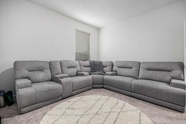 705 Western Fern, League City, TX 77573 - living room featuring carpet