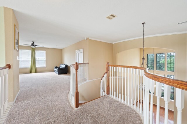 9710 Lansing Meadows Dr, Humble, TX 77396 - corridor featuring an upstairs landing, carpet, and ornamental molding