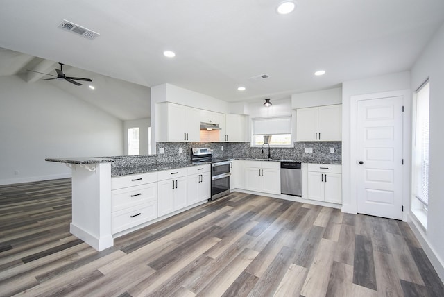 7418 Dew Mist Ln, Houston, TX 77095 - kitchen with appliances with stainless steel finishes, healthy amount of natural light, a sink, dark wood-style floors, and recessed lighting
