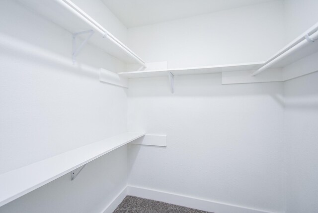 7418 Dew Mist Ln, Houston, TX 77095 - view of walk in closet