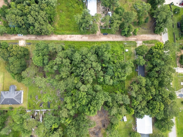 25659 York, New Caney, TX 77357
