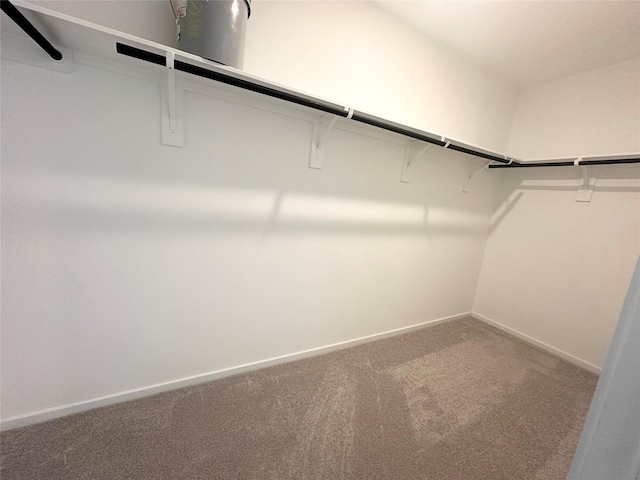 16477 Blossom Grove Dr, Conroe, TX 77303 - spacious closet with carpet