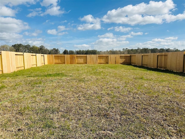 16477 Blossom Grove Dr, Conroe, TX 77303 - view of yard