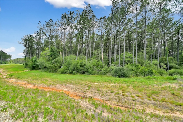 15469 Forest Grove Dr, Willis, TX 77378