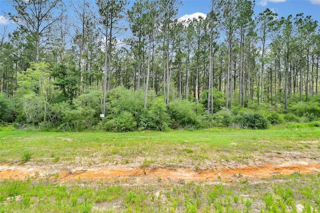 15469 Forest Grove Dr, Willis, TX 77378
