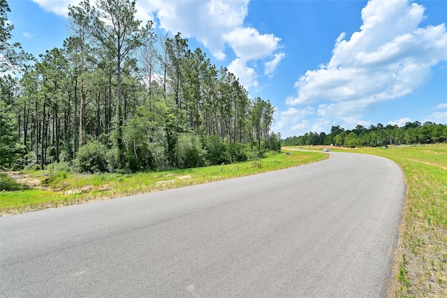 15469 Forest Grove Dr, Willis, TX 77378