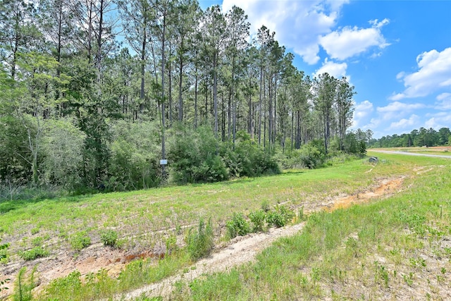 15469 Forest Grove Dr, Willis, TX 77378