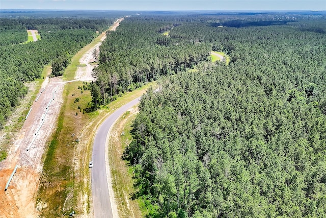 15469 Forest Grove Dr, Willis, TX 77378