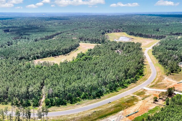 15469 Forest Grove Dr, Willis, TX 77378
