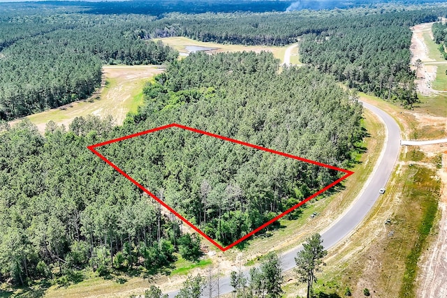15469 Forest Grove Dr, Willis, TX 77378