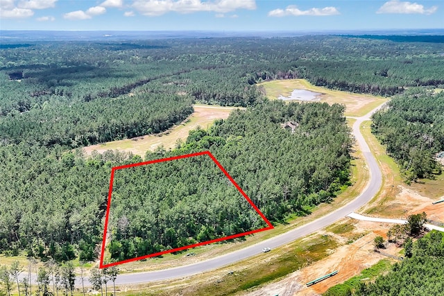 15469 Forest Grove Dr, Willis, TX 77378