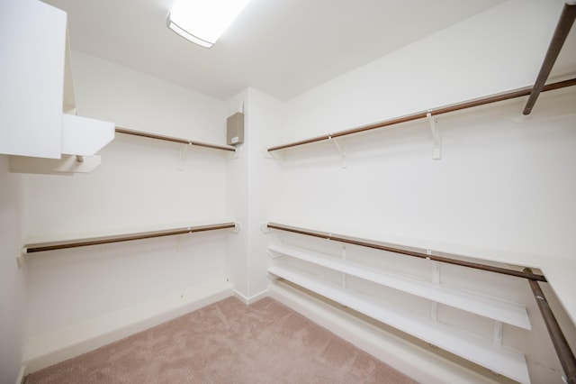 4311 Childress St, Houston, TX 77005 - walk in closet with carpet floors