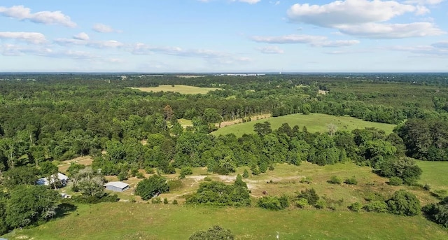 1933 Fm 1272, Grapeland, TX 75844 - aerial view of a forest