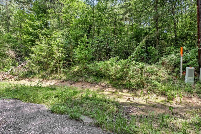 377 Wild Oak Dr, Huffman, TX 77336 - photo 14