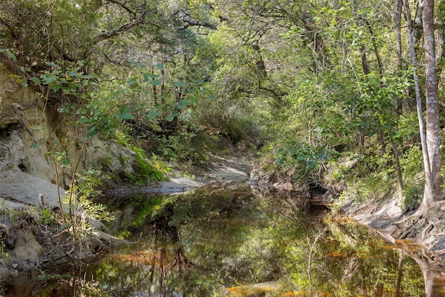 4431 Boulton Creek Rd, Muldoon, TX 78949
