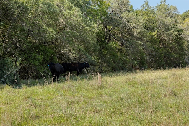 4431 Boulton Creek Rd, Muldoon, TX 78949