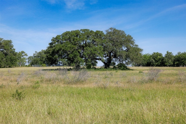 4431 Boulton Creek Rd, Muldoon, TX 78949