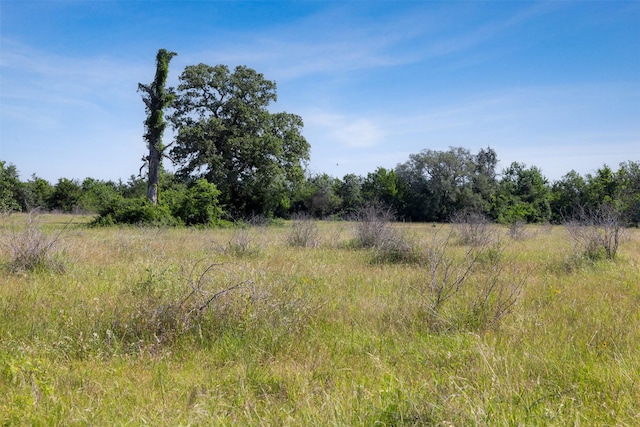 4431 Boulton Creek Rd, Muldoon, TX 78949