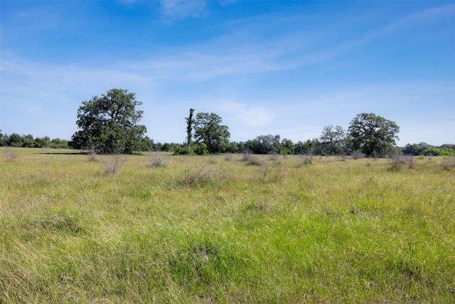 4431 Boulton Creek Rd, Muldoon, TX 78949