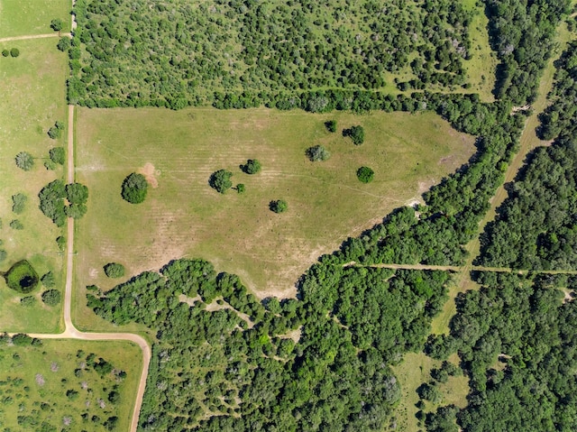 4431 Boulton Creek Rd, Muldoon, TX 78949
