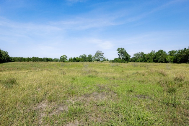 4431 Boulton Creek Rd, Muldoon, TX 78949