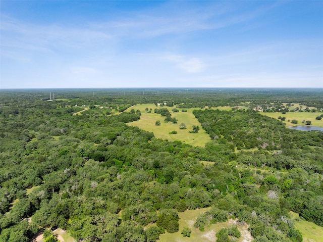 4431 Boulton Creek Rd, Muldoon, TX 78949
