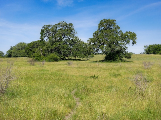 4431 Boulton Creek Rd, Muldoon, TX 78949